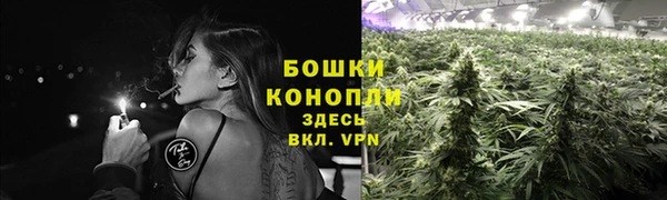 ПСИЛОЦИБИНОВЫЕ ГРИБЫ Богородицк