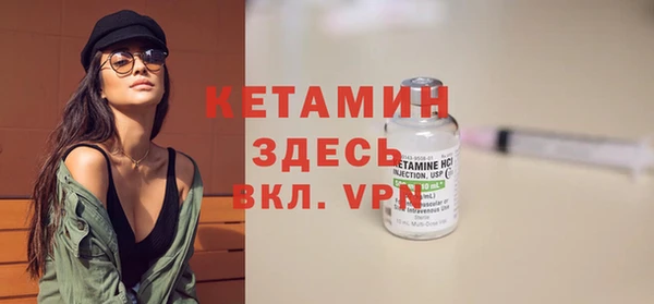 шишки Сосновка