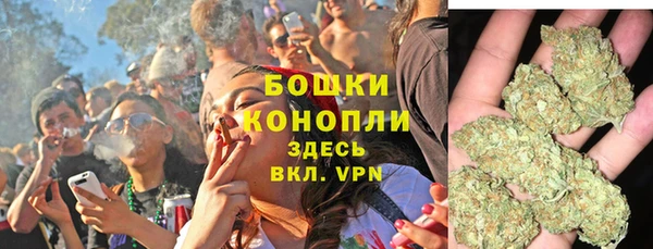 МДПВ Богородск