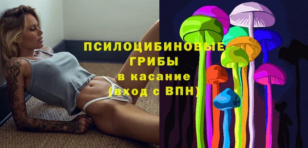 гашик Сосновый Бор