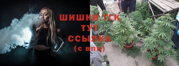 МДПВ Богородск