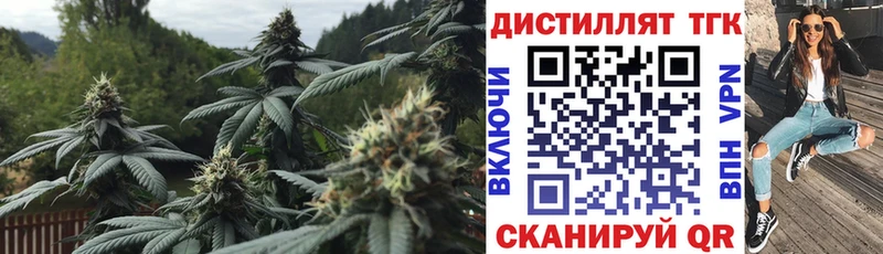 дарнет шоп  Костомукша  Дистиллят ТГК жижа 