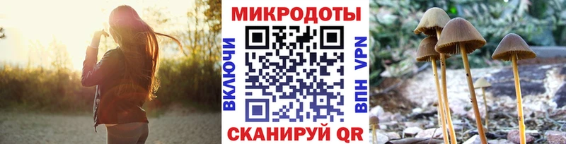 купить  цена  mega   Галлюциногенные грибы Magic Shrooms  Костомукша 